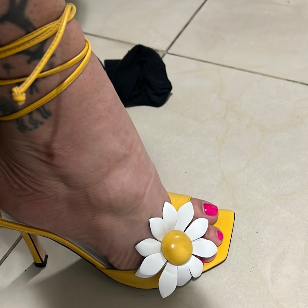 Charles David Heels
